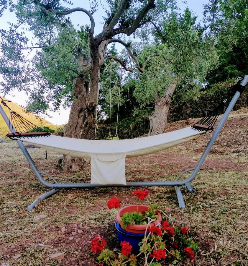 L'Opuntia Sul Lago Caccamo Buitenkant foto