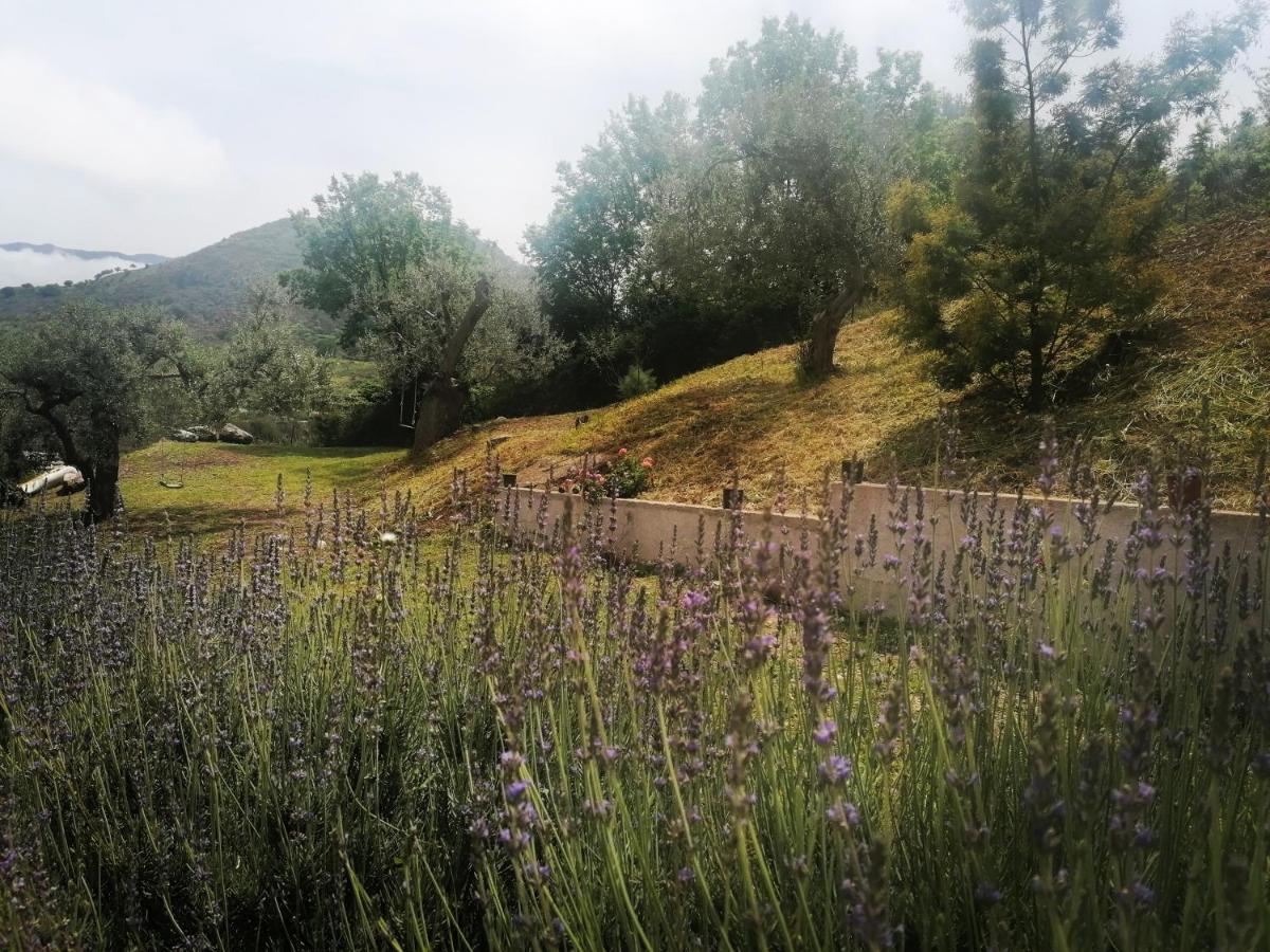 L'Opuntia Sul Lago Caccamo Buitenkant foto